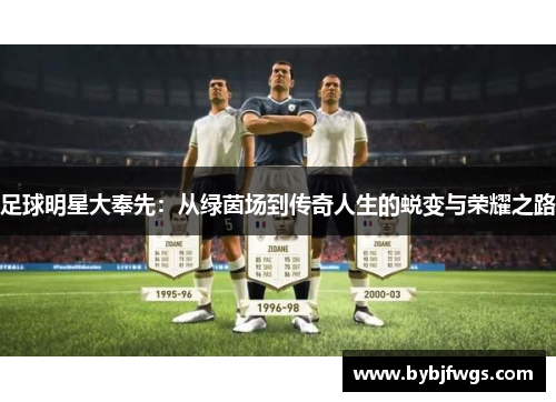 足球明星大奉先：从绿茵场到传奇人生的蜕变与荣耀之路