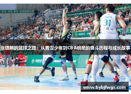张镇麟的篮球之路：从青涩少年到CBA明星的奋斗历程与成长故事