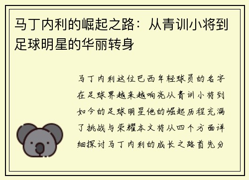 马丁内利的崛起之路：从青训小将到足球明星的华丽转身